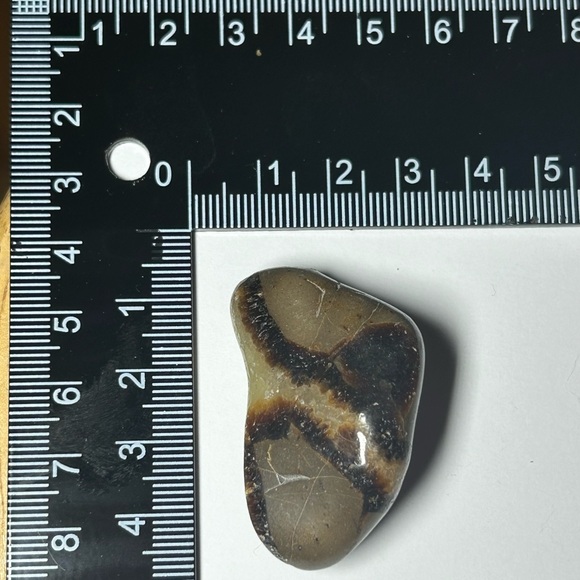 Polished Septarian Dragonstone - Picture 3 of 3